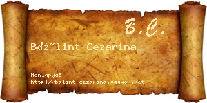 Bálint Cezarina névjegykártya